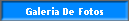 Galeria De Fotos