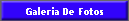 Galeria De Fotos